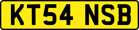 KT54NSB