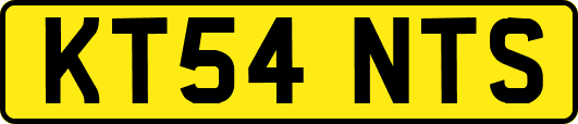 KT54NTS