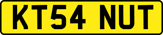KT54NUT