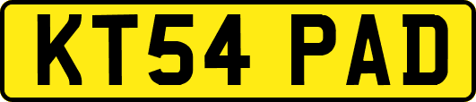 KT54PAD
