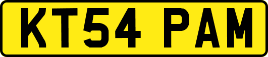 KT54PAM