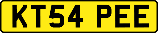 KT54PEE