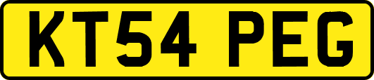 KT54PEG