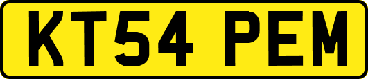 KT54PEM