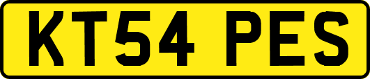 KT54PES
