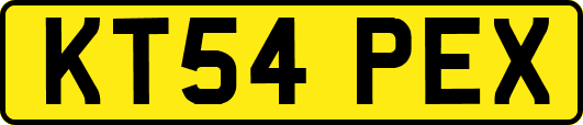 KT54PEX