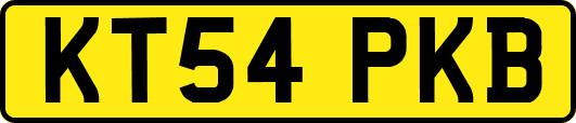 KT54PKB