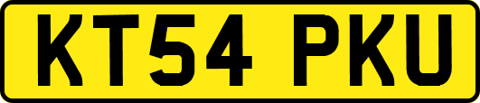 KT54PKU