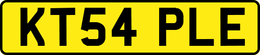 KT54PLE