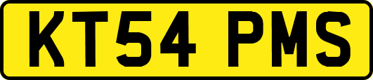KT54PMS