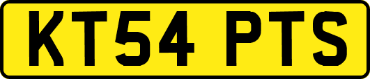 KT54PTS