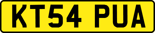 KT54PUA