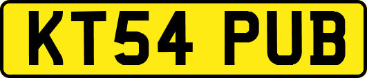 KT54PUB