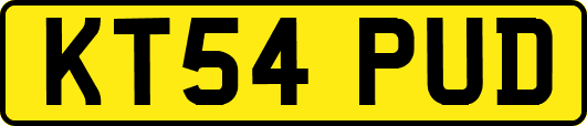 KT54PUD