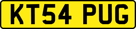 KT54PUG