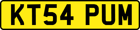 KT54PUM