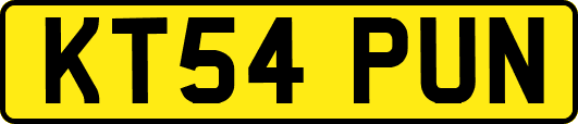 KT54PUN