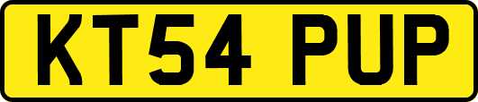 KT54PUP