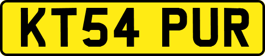 KT54PUR