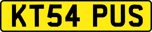 KT54PUS
