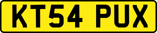 KT54PUX
