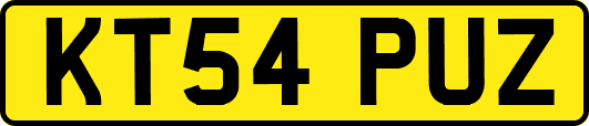 KT54PUZ