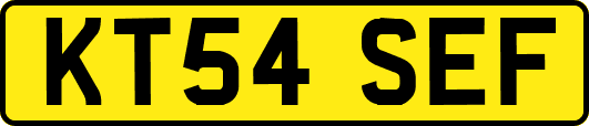 KT54SEF