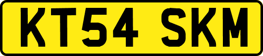 KT54SKM