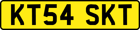 KT54SKT