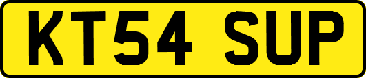 KT54SUP