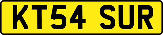 KT54SUR