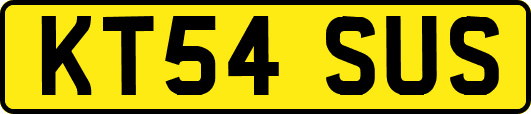 KT54SUS