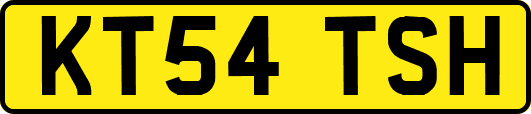 KT54TSH
