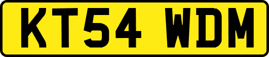 KT54WDM