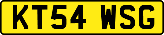 KT54WSG