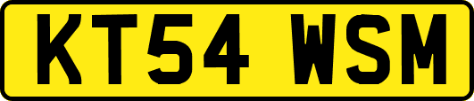 KT54WSM