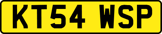 KT54WSP
