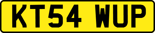 KT54WUP