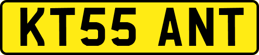 KT55ANT