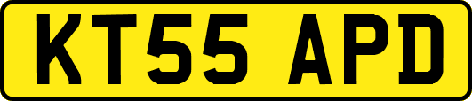 KT55APD