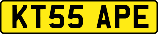 KT55APE