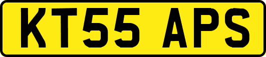 KT55APS