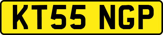 KT55NGP
