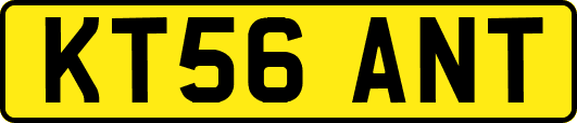 KT56ANT