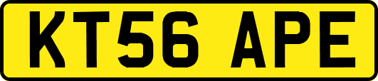 KT56APE