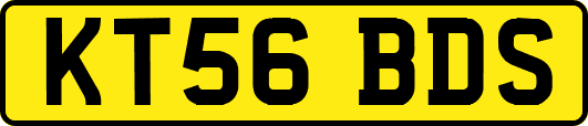 KT56BDS