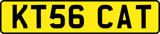 KT56CAT