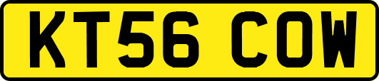 KT56COW
