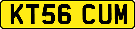 KT56CUM
