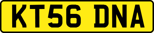 KT56DNA
